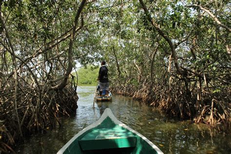 CABO MANGLARES UN PARAÍSO POR DESCUBRIR