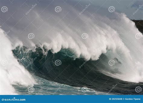 Grande Onda Da Ressaca Tambor E Vento Foto De Stock Imagem De