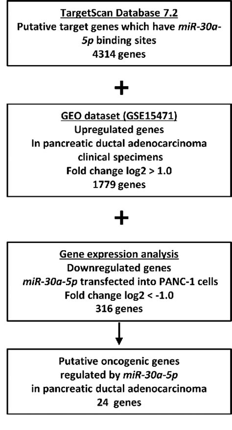 Figure From Impact Of Oncogenic Targets Controlled By Tumor