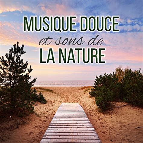 Musique Douce Et Sons De La Nature Massage M Ditation Spa Yoga