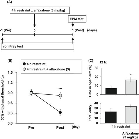 Showing the experimental timeline A. Effects of alfaxalone on the... | Download Scientific Diagram