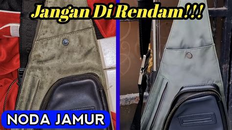 GAMPANG BANGET Cara Menghilangkan Noda Jamur Di Tas Rahasia Laundry