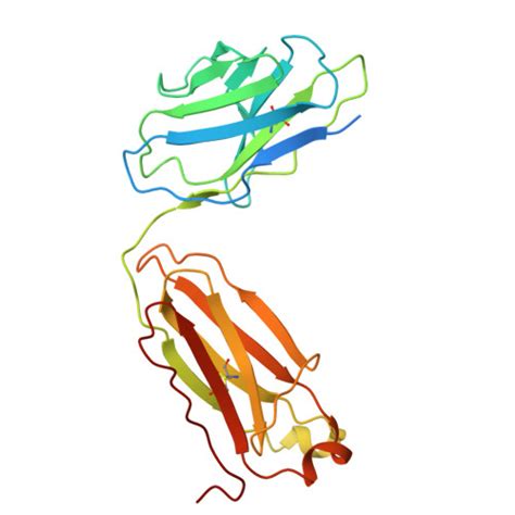 RCSB PDB - 7LO7: NorA in complex with Fab25 