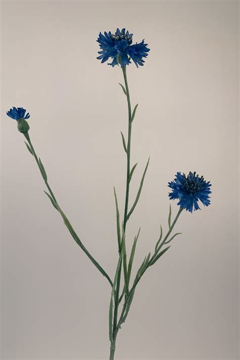 KORENBLOEM BLAUW 62 CM GROOTHANDEL IN KUNSTBLOEMEN Jim Jon