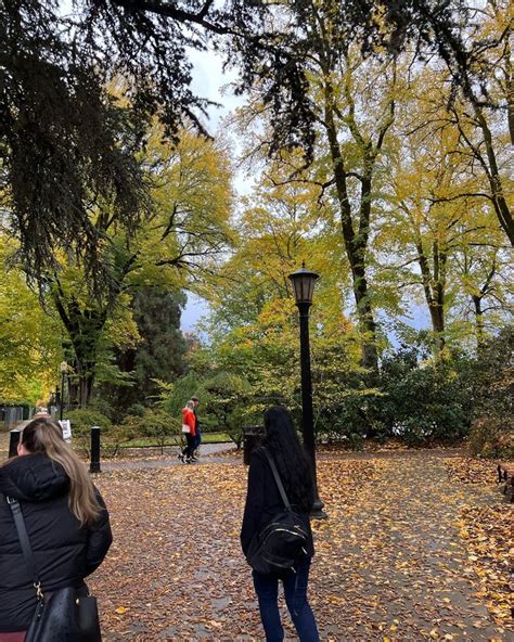 two people standing in the middle of a park with leaves on the ground and trees around them