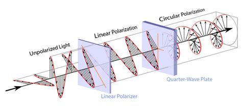 Figure Unpolarized Light Possessing Random Polarization