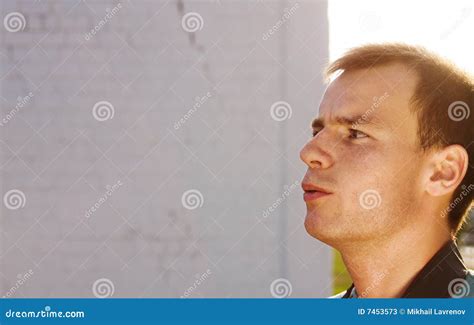 Stare stock image. Image of serious, stare, adult, sunny - 7453573