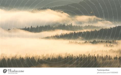 morning fog Landscape - a Royalty Free Stock Photo from Photocase