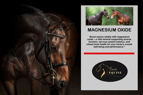 Magnesium Oxide Mgo Horse Supplement Simply Equine