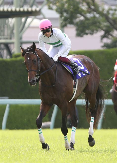 【注目馬動向】キセキは7月1日に放牧に出て夏休み Umatoku 馬トク