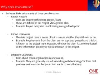 Software Risk Analysis And Management PPT