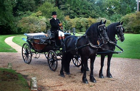 Horse drawn carriage hire for weddings in Berkshire & Surrey | Ascot ...