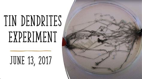 Tin Dendrites Experiment June 13 2017 Youtube