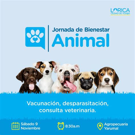 Alcald A De Lorica On Twitter Tu Mascota Tambi N Merece Lo Mejor