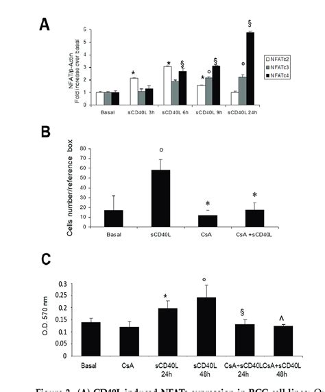 A CD40L Induced NFATs Expression In RCC Cell Lines Quiescent RCC