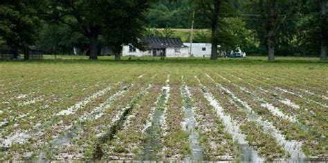 Cornell Cooperative Extension Farm Disaster Preparation Online