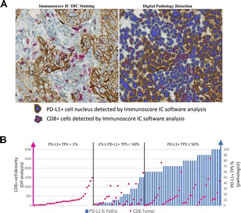 Immunoscore Immune Checkpoint Using Spatial Quantitative Analysis Of