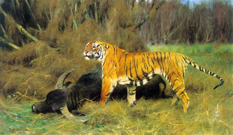 A Tiger With Its Prey By Wilhelm Kuhnert Artpaintingartist