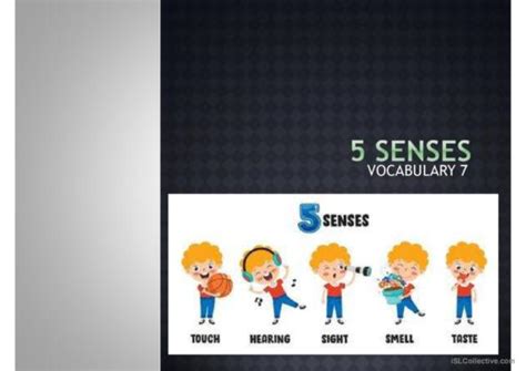 28 Senses English Esl Powerpoints