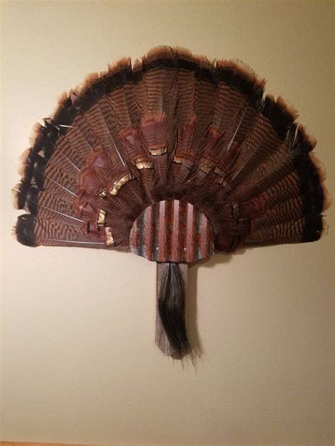 Rustic Turkey Fan And Beard Display Reclaimed Barn Boards And Rustic