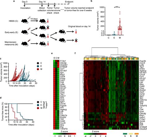 Validation Of The Expression Levels Of Selected 36 Genes Via Qpcr In A