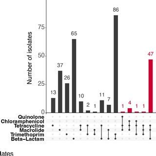 Upset Plot Of The Distribution Of Multidrug Resistant Isolates