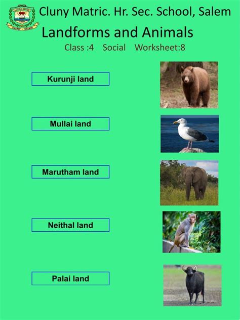4 Social 8 Worksheet Social Studies Social School Subjects