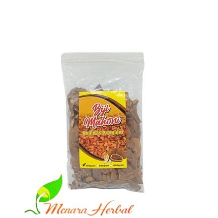 Jual Biji Buah Mahoni Asli I Obat Herbal Biji Mahoni Kualitas Terjamin ...