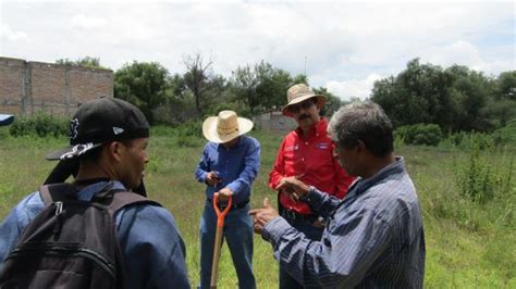 Avala Cea Ubicaci N De Planta Tratadora De Agua En La Laguna