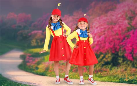 Tweedle Dee And Tweedle Dum Costumes Alice In Wonderland