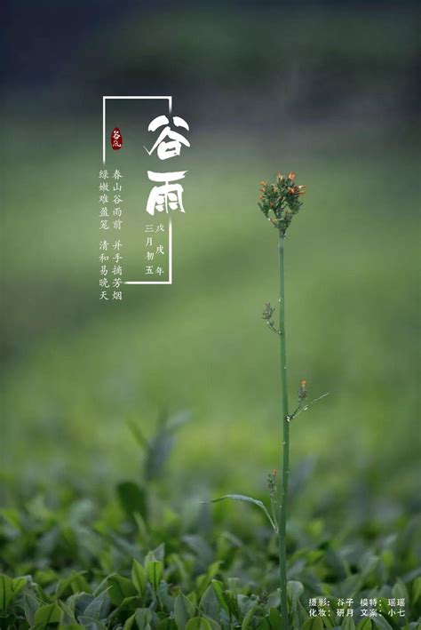 二十四节气——谷雨 知乎