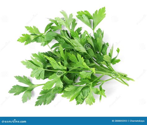 Sprigs Of Fresh Green Parsley Leaves Isolated On White Top View Stock