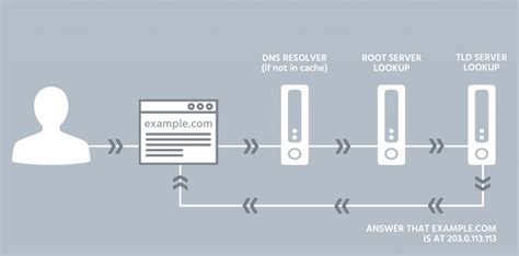 How Does A Dns Query Work Total Uptime®