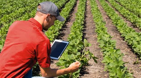 The 20 Highest Paying Jobs In Agriculture Farming