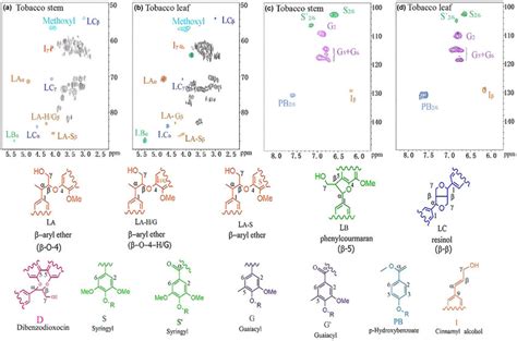 D Hsqc Nmr Spectra Of Lignin Side Chain Regions Polysaccharide Regions