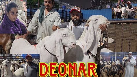 Deonar Bakra Mandi Night Update Big Goats Update Public Opinion Of