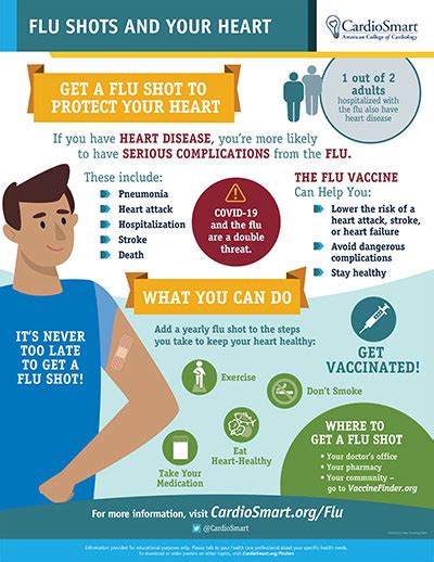 Flu Shots And Your Heart Infographic Cardiosmart American College