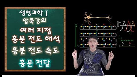 2021 생명과학Ⅰ 압축강의 흥분의 전도2│ 주원스쿨 Youtube