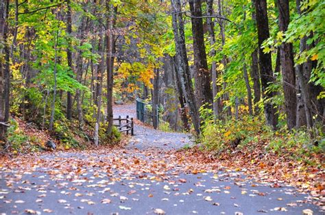 Fall Photos at the Perkiomen Trail, Spring Mount, PA