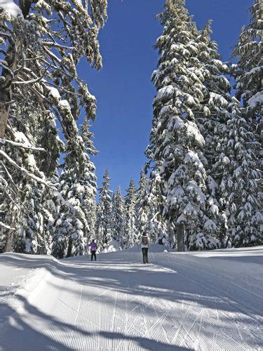 Mt Bachelor Nordic Center Cross-Country Ski Trails – Celebrate Big!