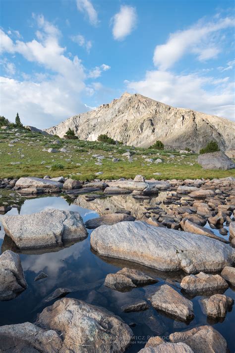 East Fork Valley Peaks Bridger Wilderness Wyoming Alan Majchrowicz