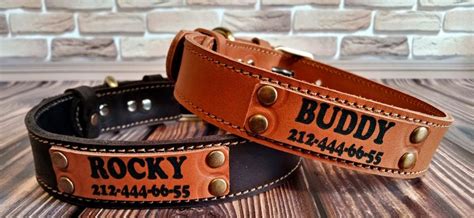 10 Best Personalized Dog Collars of 2025: 👉 Custom Dog and Puppy Collars With Name Reviews ...