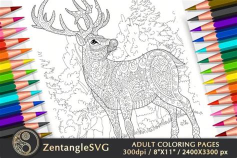 Forest Adult Coloring Pages