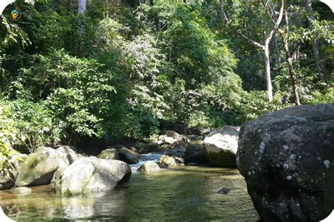 Tempat Menarik Di Sungai Petani Percutian Best