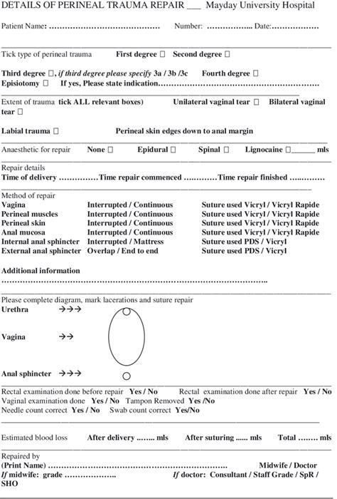 10 Proforma Used At Mayday University Hospital For Documentation Of Download Scientific