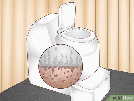 How Does a Composting Toilet Work? Benefits and Drawbacks