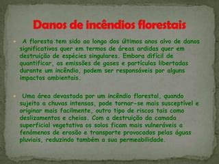 Incêndios Florestais PPT