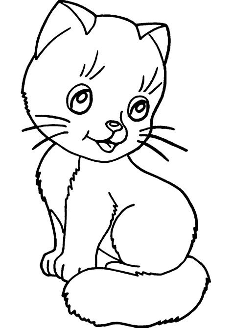 Disegni
