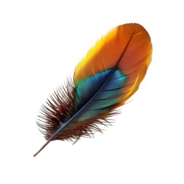 Delicate Feather Texture PNG Transparent Images Free Download | Vector ...