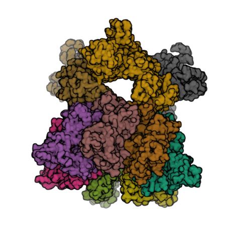 Rcsb Pdb 6zxk Fully Loaded Anthrax Lethal Toxin In Its Heptameric